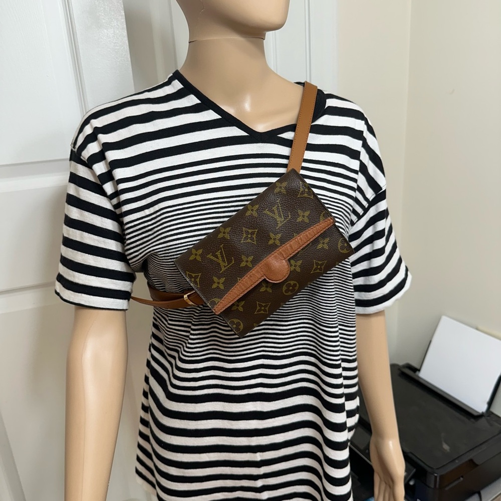 Louis Vuitton Purse - Picture 7 of 11